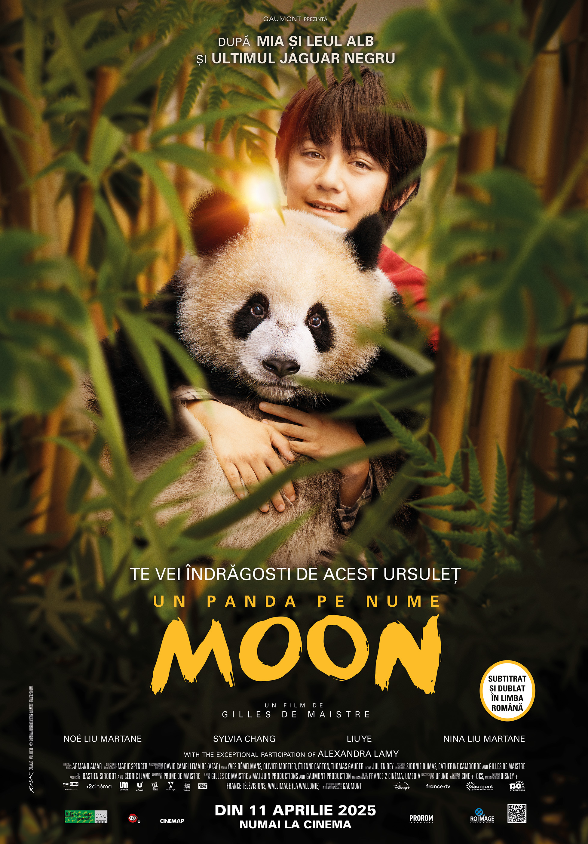 moon - il panda recensioni